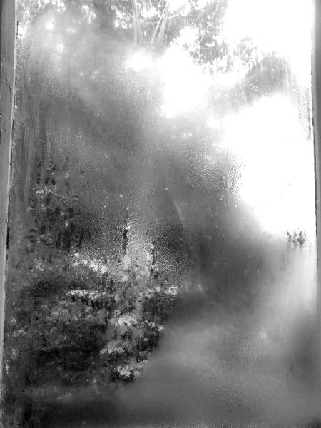 window